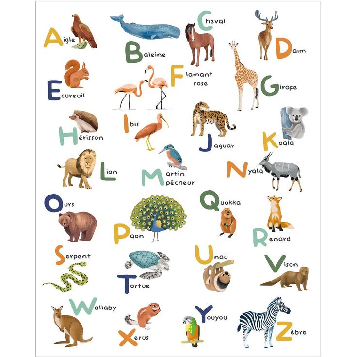 Kuvatapetti Caselio Apprenons L Alphabet Multicouleurs S 200x250cm (105672305)