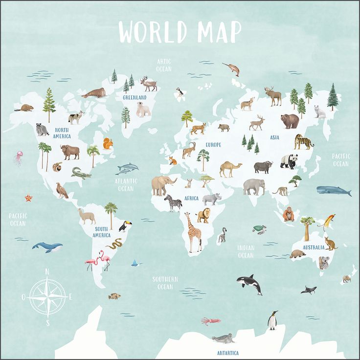 Kuvatapetti Caselio Decouvrir Le Monde Multicouleurs S 250x250cm (105766306)