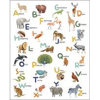 Kuvatapetti Caselio Let&#039;s Learn The Alphabet Multicouleurs, eri kokoja