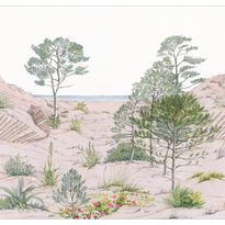 Kuvatapetti Caselio Sand Dune, eri kokoja