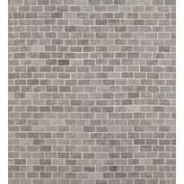 Mosaiikkilaatta Qualitystone Brick Mini Light Grey, 20x40mm