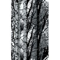 Kontaktimuovi D-C-Fix 346-0611, 0.45x2m, puunrunko