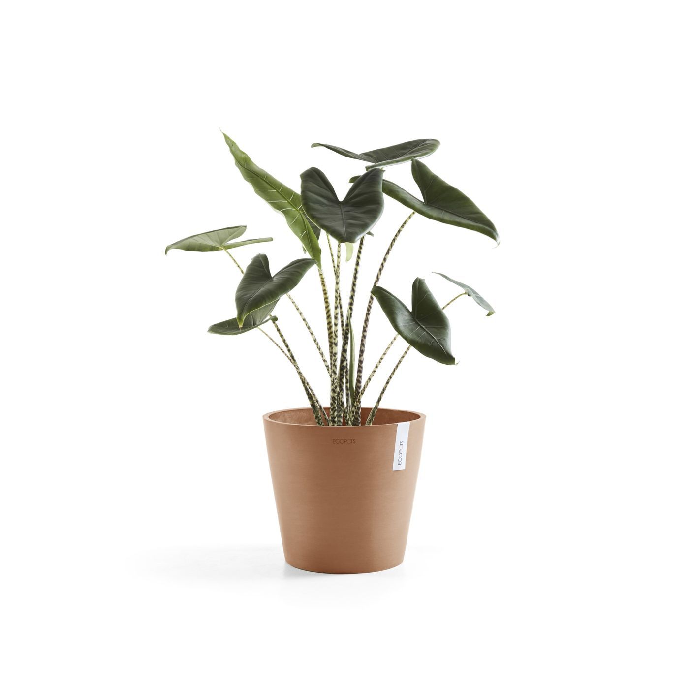 Kukkaruukku Ecopots Amsterdam 40cm terrakotta