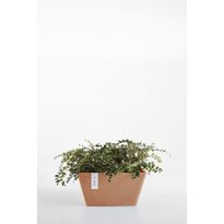 Kukkaruukku Ecopots Berliini terrakotta 25.5 X 25.5 X 12.8 cm