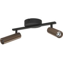 Kattospottivalaisin Eglo Valproto 2x5W LED 2700/4000/6500K 600lm IP20