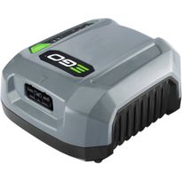 Reppuakun laturi Ego Power+ Pro X CHX5500E, 550W