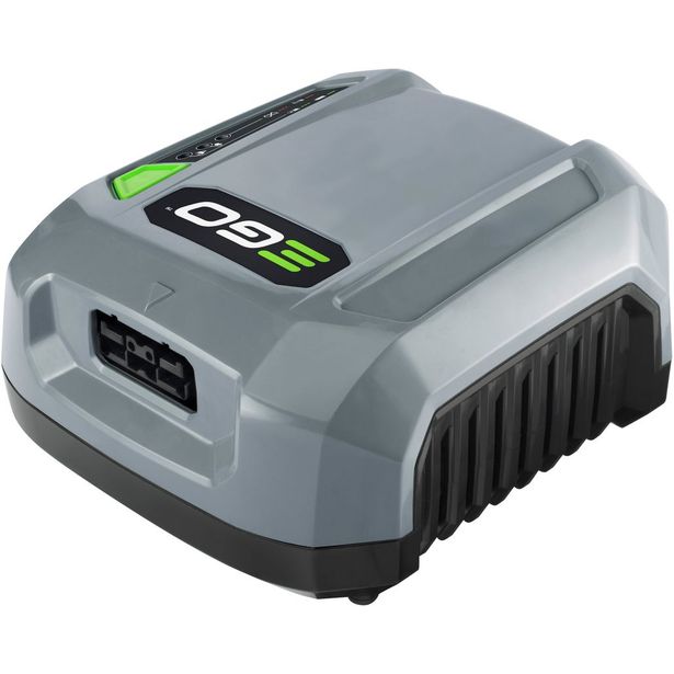 Laturi Ego Power Plus, reppuakun laturi 550W