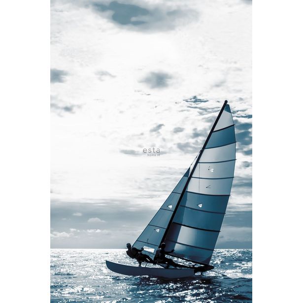 Paneelitapetti Esta Regatta Crew Surf Edition 158846, 186x279cm