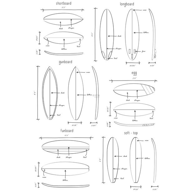 Paneelitapetti Esta Regatta Crew Surf Edition 158848, 186x279cm