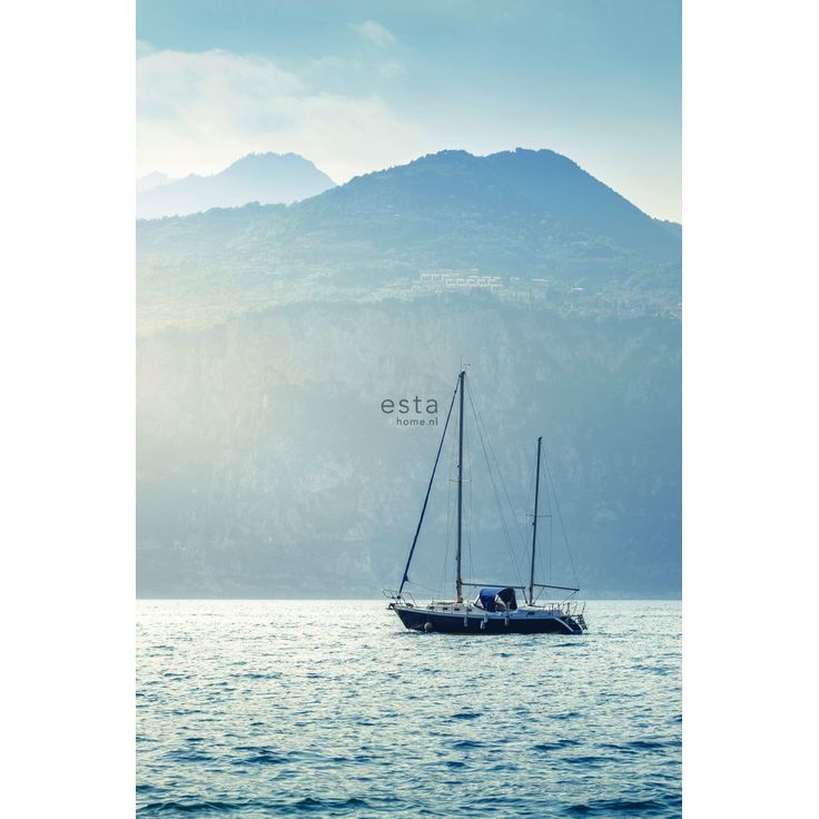 Paneelitapetti Esta Regatta Crew Surf Edition 158850, 186x279cm