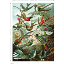 Kuvatapetti Esta Paradise XL Birds Tropical Jungle Green, 2x2,79m