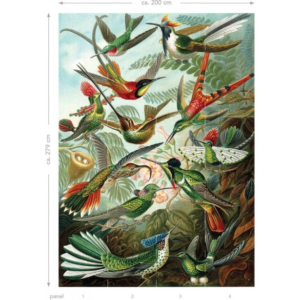 Kuvatapetti Esta Paradise XL Birds Tropical Jungle Green, 2x2,79m