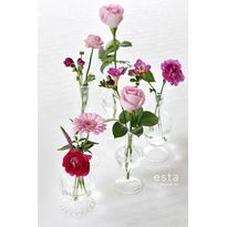 Tapetti Handwriting Latin Flower Names 128031 0,53x10,05 m valkoinen/helmiäishopea non-woven