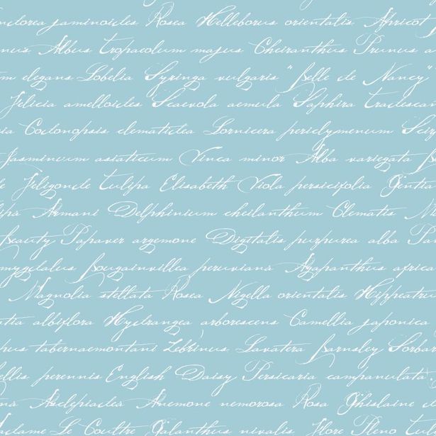 Tapetti Handwriting Latin Flower Names 128037 0,53x10,05 m akvamariini non-woven