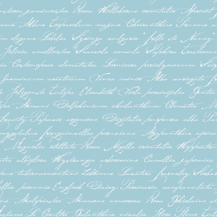 Tapetti Handwriting Latin Flower Names 128037 0,53x10,05 m akvamariini non-woven