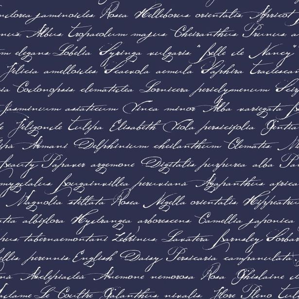 Tapetti Handwriting Latin Flower Names 128040 0,53x10,05 m tummansininen non-woven