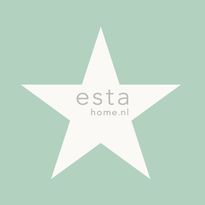 Tapetti Star 128701 0,53x10,05 m mintunvihreä