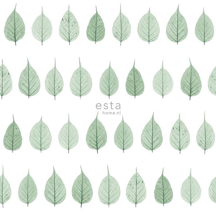 Tapetti Esta Greenhouse 128847, 0,53x10,05m, valkoinen/vihreä