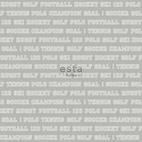 Tapetti Esta College 138802, 0,53x10,05m, harmaa