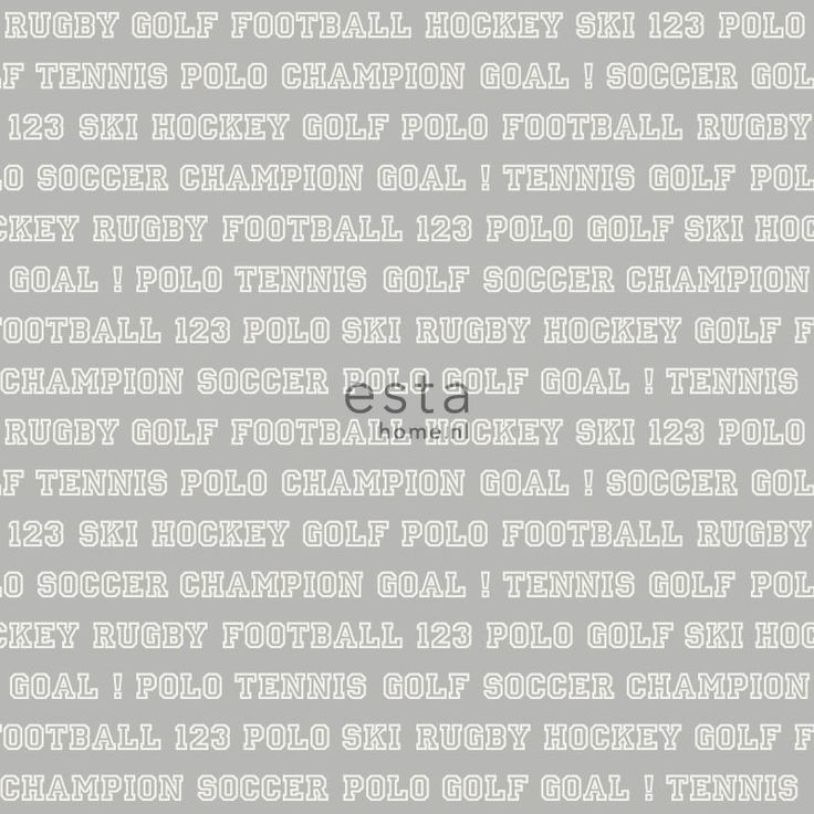 Tapetti Esta College 138802, 0,53x10,05m, harmaa