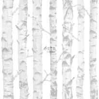 Tapetti Esta Little Bandits 138944, 0,53x10,05m, valkoinen/harmaa