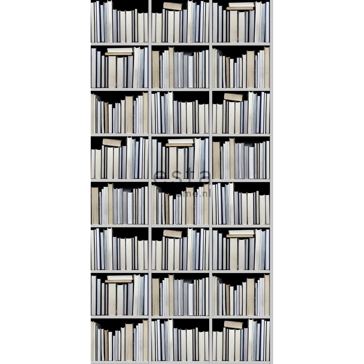 Tapetti WallpaperXXL Bookshelves 158205, 46,5cm x 8,37m