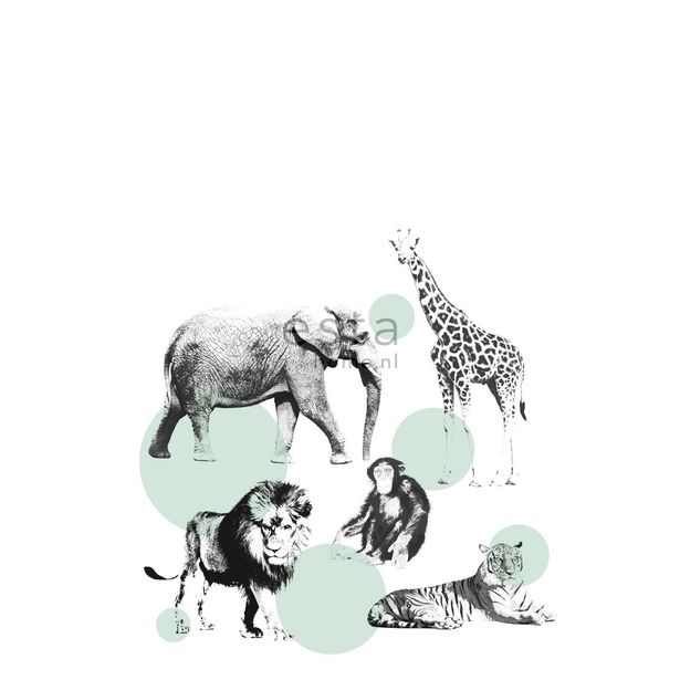 Kuvatapetti PhotowallXL Animals 158704 1860x2790 mm