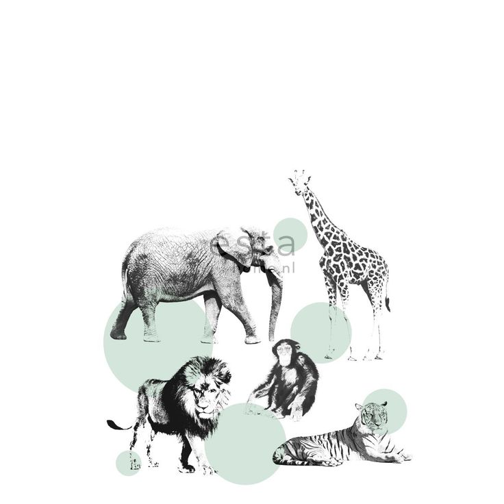 Lastenhuoneen tapetti PhotowallXL Animals 158704 1860x2790 mm