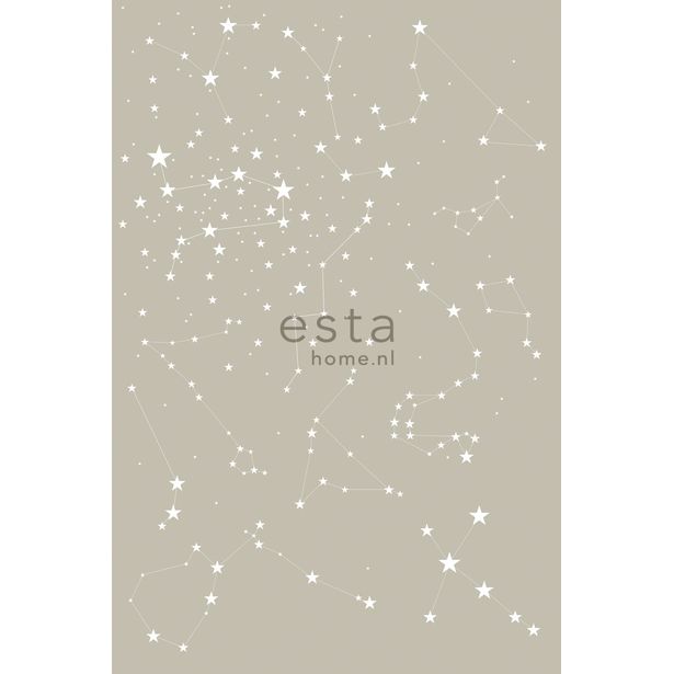 Kuvatapetti PhotowallXL Starry Night 158705 1860x2790 mm