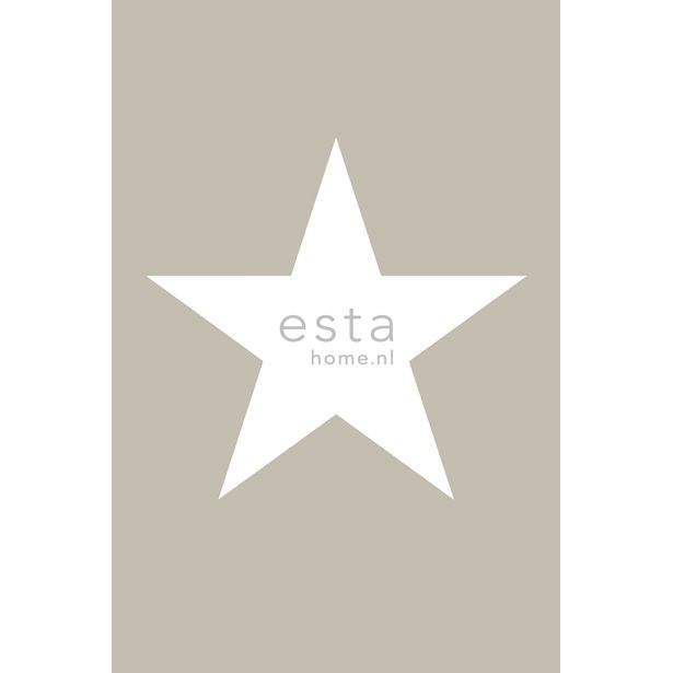 Kuvatapetti PhotowallXL Star 158706 1860x2790 mm