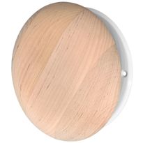 Lautasventtiili Eiroplast KD Ø100 mm tervaleppä