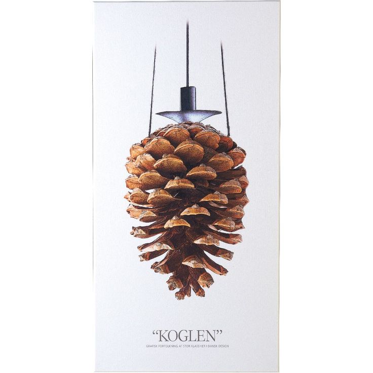 Akustiikkalevy Fibrotech Art Acoustic Kotten, 9x600x1200mm