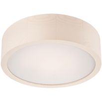 Kattovalaisin FocusLight Jordan, 27cm, 1xE27, eri värejä