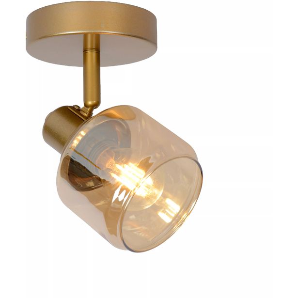 Kattospotti Lucide Bjorn 