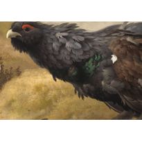 Satiinityynyliina Finlayson Taistelevat metsot, 50x60cm, monivärinen