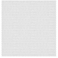 Puutarhan verkkoaita, ruostumaton teräs, 50x50cm, 20x10x2mm