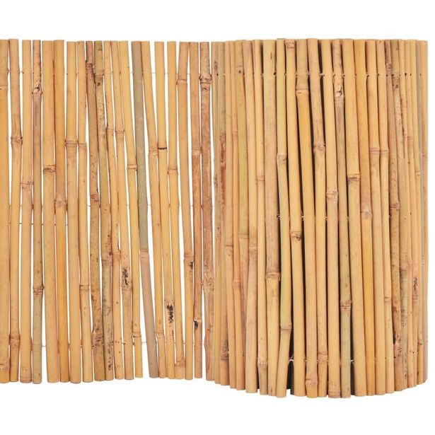 Bambuaita, 500x30cm