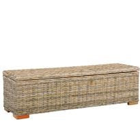 Säilytyslaatikko 120 cm kubu-rottinki ja täysi mangopuu