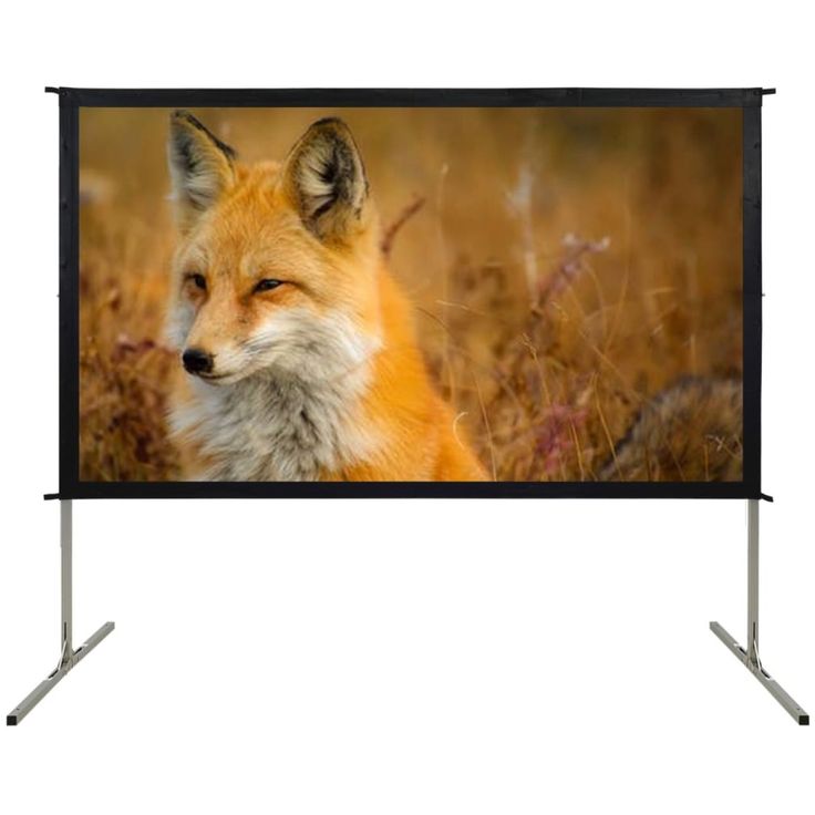 Nopeasti taitettava valkokangas, 100" 16:9