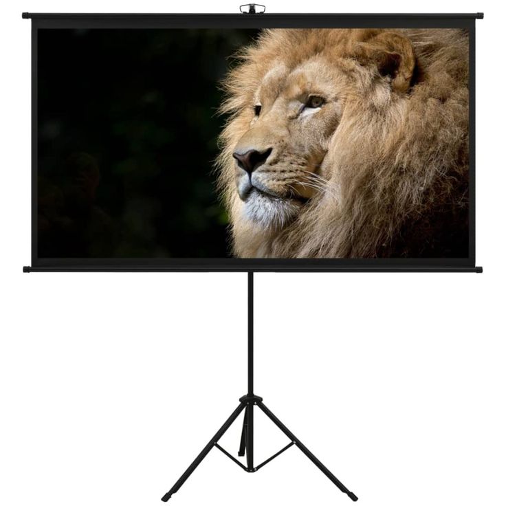Valkokangas jalustalla, 90", 4:3