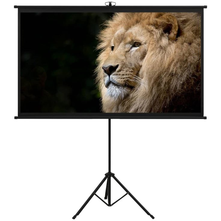Valkokangas jalustalla, 72", 16:9