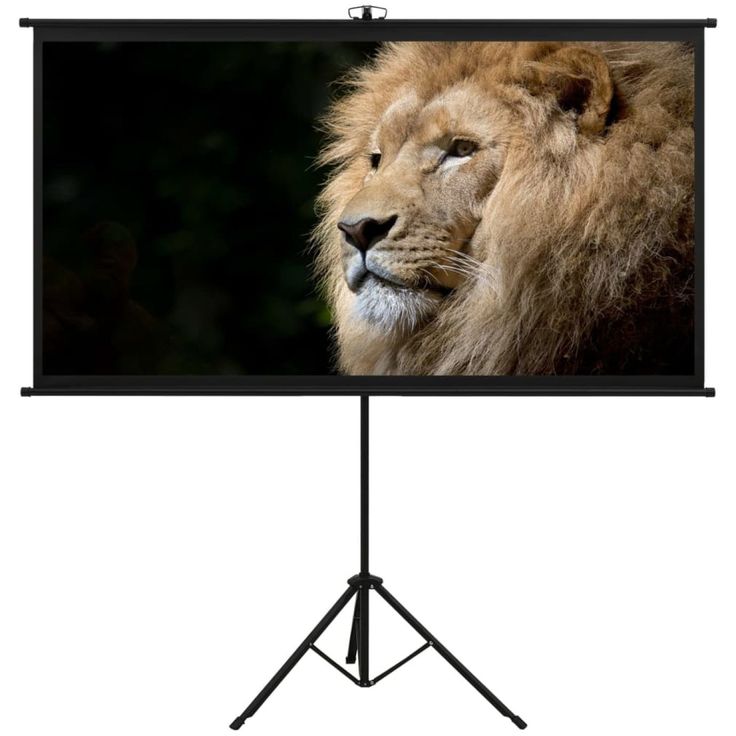 Valkokangas jalustalla, 108", 16:9