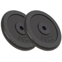 Levypainot, 2kpl, 30kg, valurauta