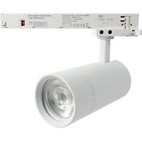 Kiskospotti FTLIGHT, 3-vaihekiskoon, zoomattava 24–60°, 20W/25W/30W/35W, 3250lm, 3000–5000K, CRI&gt;90, Triac-himmennettävä, valkoinen