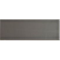 Seinälaatta Arredo Color Marengo 10x30cm, kiiltävä, harmaa