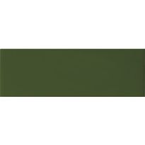 Seinälaatta Arredo Color Botella 10x30cm, kiiltävä, vihreä
