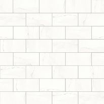 Seinälaatta Arredo Vein Carrara Marble 30x60cm, matta, valkoinen