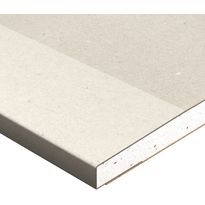 Kipsilevy Gyproc GNE 13 Normaali Ergo, 900x2750x13mm
