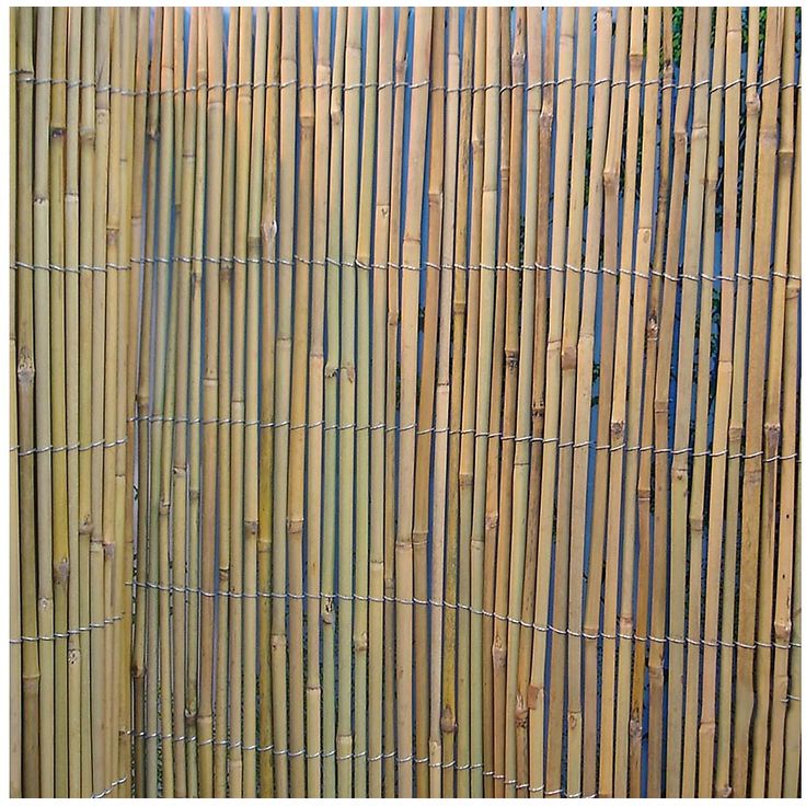 Bambuaita Home4you In Garden 150x500 cm