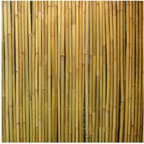 Bambuaita Home4you In Garden, 150x300cm
